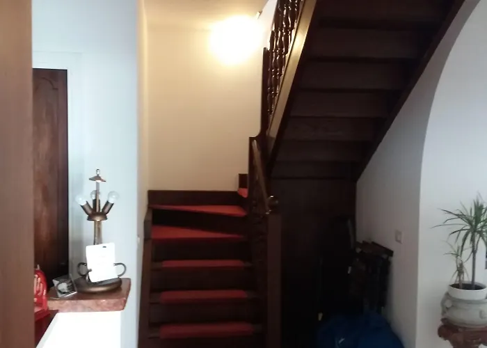 Oda ve Kahvaltı Glicini