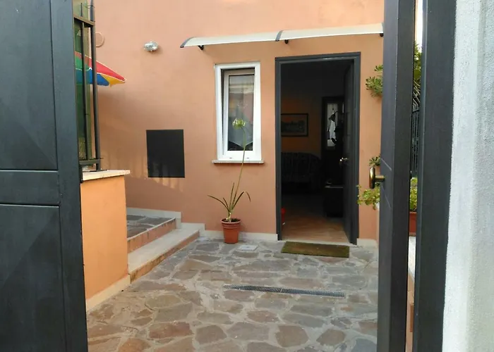 Glicini 4*